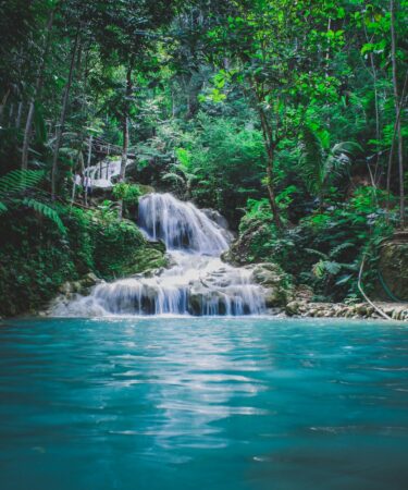 photography of waterfalls between trees